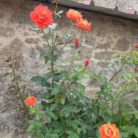 Au Bocage Parfume Gite De La Ciflorette*** Wirwignes Buitenkant foto