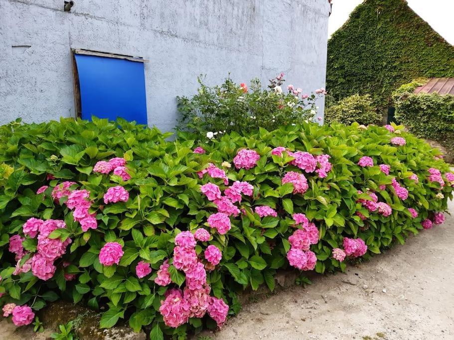 Au Bocage Parfume De La Ciflorette*** Hébergement de vacances