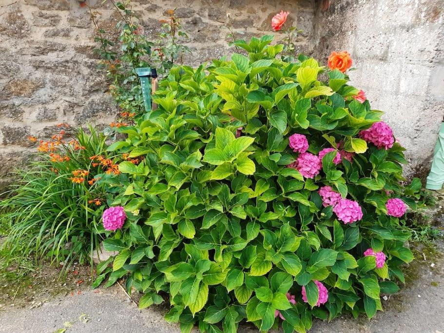 Au Bocage Parfume De La Ciflorette*** Wirwignes